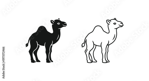 Camel Types: Dromedary vs Bactrian Guide Vector