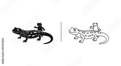 Newts vs Salamanders: Key Differences Explained Vector