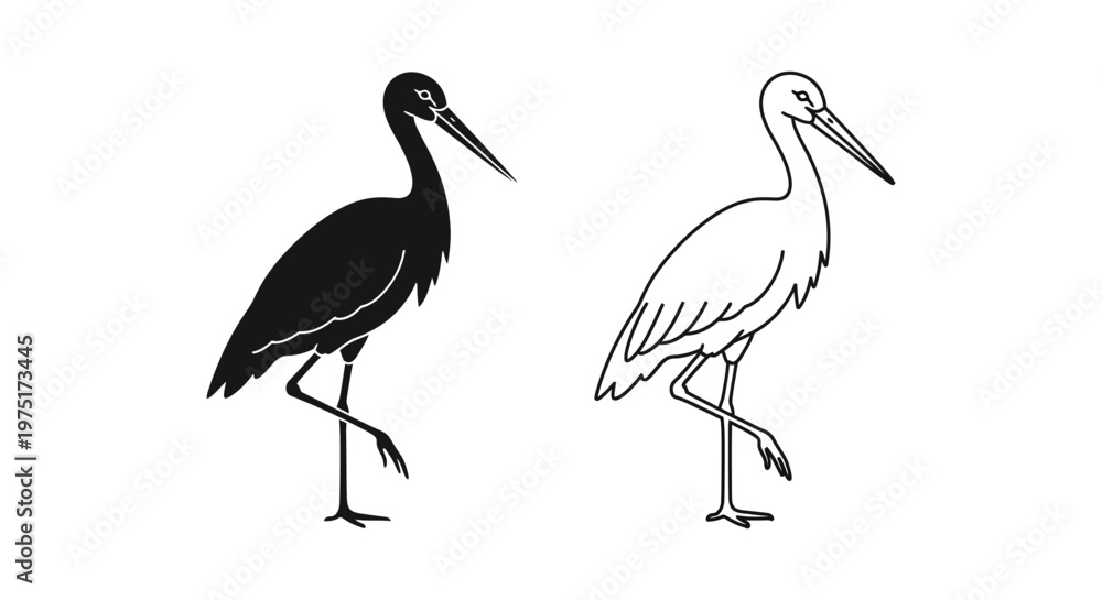 Fototapeta premium Black and White Wading Birds Illustration Guide Vector