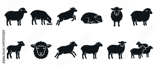 Collection of sheep and lamb silhouettes in different poses, representing farm animals and livestock icons.