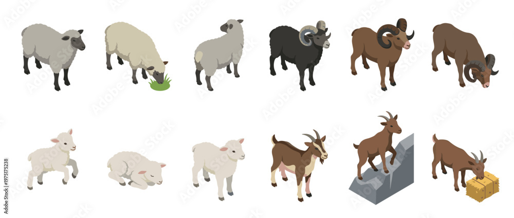 Fototapeta premium Isometric set of various farm animals including adult sheep, rams, young lambs, and brown goats in different poses and activities.