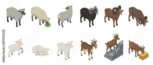Isometric set of various farm animals including adult sheep, rams, young lambs, and brown goats in different poses and activities.
