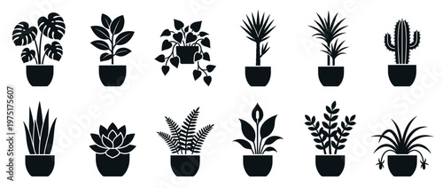 Collection of potted houseplants icons, featuring various indoor plants in decorative pots, perfect for home decor and botanical themes.