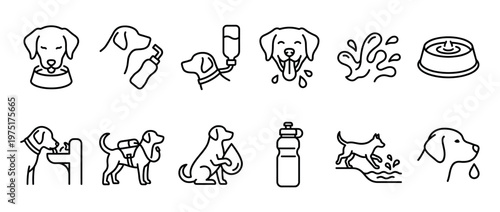 Dogs and Hydration Vector Icons Set: Essential Pet Water Needs, Drinking, and Outdoor Activities for Canine Companions