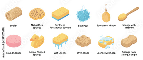 Collection of various types of sponges and bath accessories, including loofahs, sea sponges, synthetic sponges, and bath poufs, for cleaning and personal hygiene.