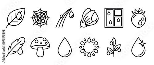 Water drops and dew icons collection featuring natural elements like leaves, flowers, grass, and fruits, symbolizing freshness and purity.