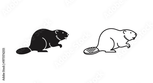 Beaver vs Beaver Illustration: Key Differences Vector