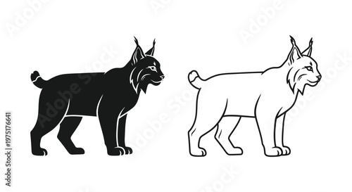 Lynx Cat Breed Comparison Guide & Illustration Vector