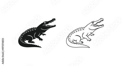 Alligator vs Crocodile: Key Differences Illustrated Vector