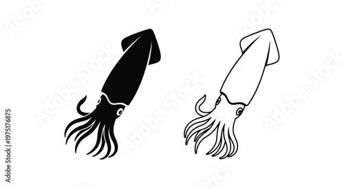 Squid Illustration: Stylish Black & White Sketch Design Vector