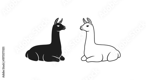 Guinea Pig vs Llama: Unique Animal Comparison Vector
