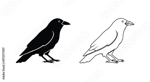 BlackAndWhiteCrowOrRavenIllustration Vector