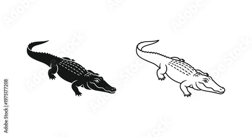 Alligator vs Crocodile: Key Differences Illustrated Vector