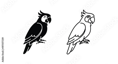 BlackAndWhiteParrotDesignsCreativeArt Vector