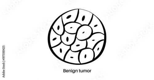 Cells structure sketch