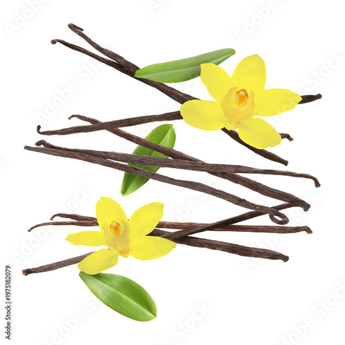 Vanilla sticks, flowers and green leaves flying against white background