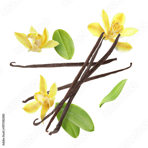 Vanilla flowers, sticks and green leaves flying against white background
