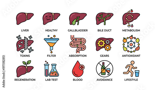 Liver health icons: anatomy, function, and healthy lifestyle symbols
