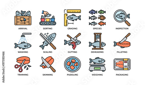 Fish processing stages illustrated with icons and tools for sorting, scaling, cutting, and packaging