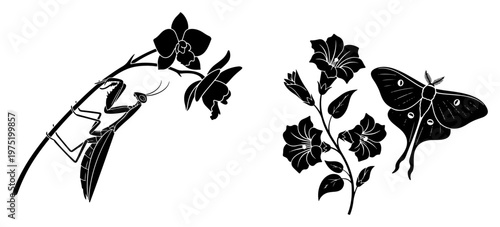 Praying mantis and moth silhouettes with orchid flowers in linocut style