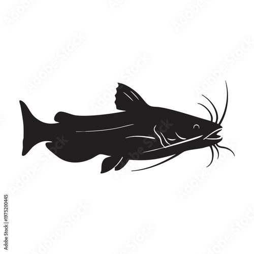 Black silhouette of a catfish with whiskers isolated on white background vector illustration for fis