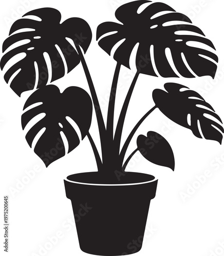 A black silhouette of a potted plant with large leaves Vector, illustration