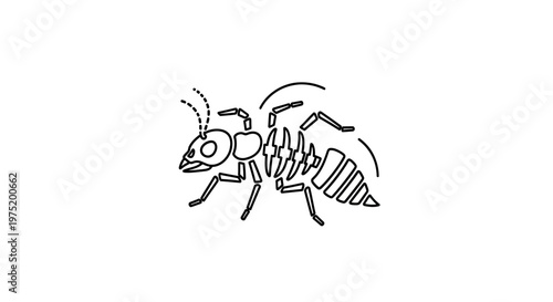 Minimalist Ant Skeleton Outline Icon, Insect Anatomy Line Art