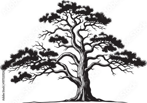 A large tree with many branches and leaves Vector, illustration