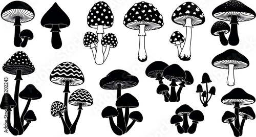 Hand-drawn Black and White Mushroom Collection with Various Fungus Designs for Nature, Organic, and Botanical Illustrations