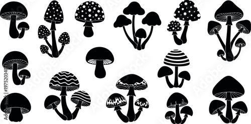 Hand-drawn Mushroom Collection with Various Patterns and Designs for Nature, Botanical, and Organic Themed Illustrations