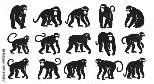 Monkey Silhouette Collection: Various Poses and Actions