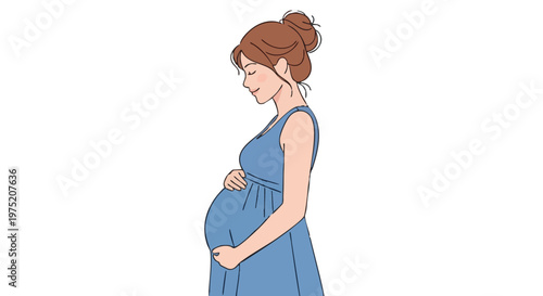 Pregnant woman in a blue dress holding her belly. A serene vector illustration of motherhood and expectation