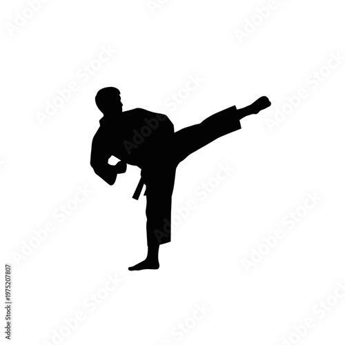 Dynamic martial arts silhouette of a powerful practitioner delivering a high kick, embodying strength, discipline, and agile combat training