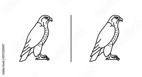 Eagle vs Owl Bird Identification Guide Vector