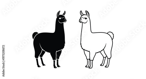 Llamas vs Alpacas: Distinctive Features Guide Vector