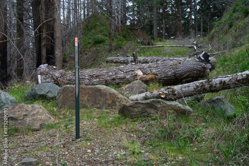 Foto Forest Service road is intentionally closed with a line of large boulders and downed logs beside a metal marker post, blocking vehicle access while the surrounding forest slowly reclaims site