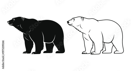 Bear Species Comparison: Black vs Polar Vector