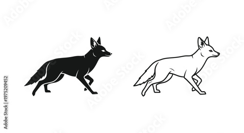 Wild Canine Comparison: Fox vs Coyote Vector