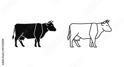 Cow Breeds Comparison: Bull and Cow Visual Guide Vector