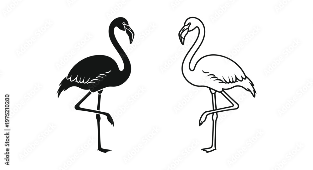 Fototapeta premium Black and White Flamingo Illustrations Vector