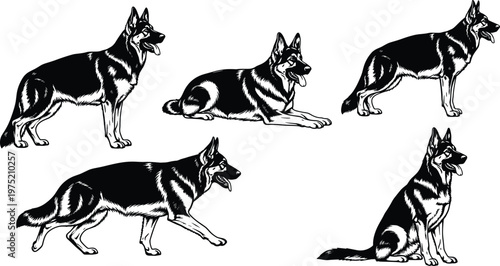 German Shepherd dog silhouettes collection with various poses including standing walking sitting and lying down black and white vector illustration set for pet graphic design.