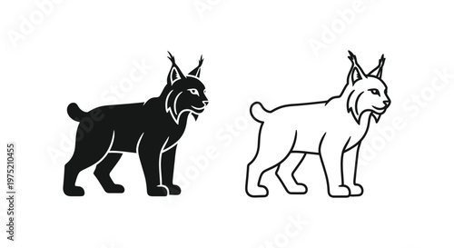 Lynx Animal Silhouette Comparison Guide Vector