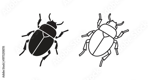Ladybugs vs Beetles: Identifying Common Insects Vector