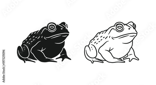 Black And White Toad Frog Illustration Guide Vector