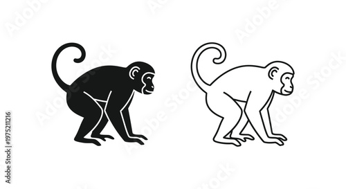 Monkey Posture Analysis: Bipedal vs Quadrupedal Comparison Vector