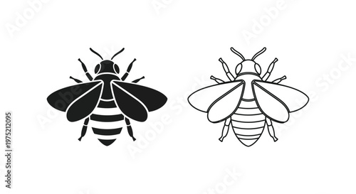 Bee vs Wasp: Identifying Common Insects Vector