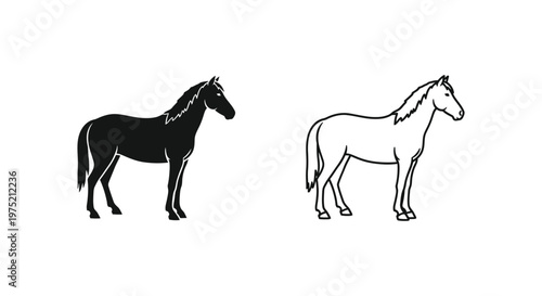 Horse Breed Comparison: Donkey vs Horse Illustration Vector