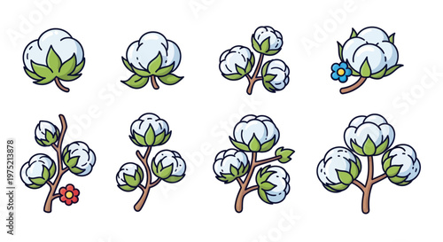 Cute Cotton Plant Illustrations: Fluffy Bolls and Green Leaves