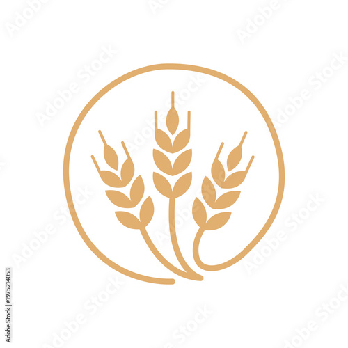 Fotografía Golden Wheat Stalks Agriculture and Bakery Concept Icon Vector