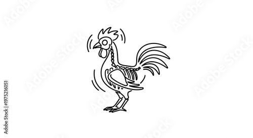 Rooster skeleton, funny chicken anatomy illustration, isolated on white background, line art